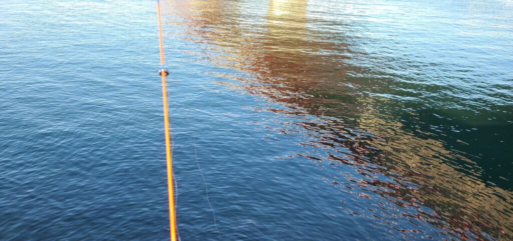 実際にダイソーのナイロンラインを使用して釣りをしている写真